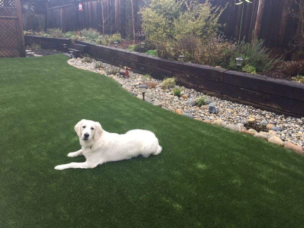 Pet Friendly Artificial Turf Installation in Baytown, TX